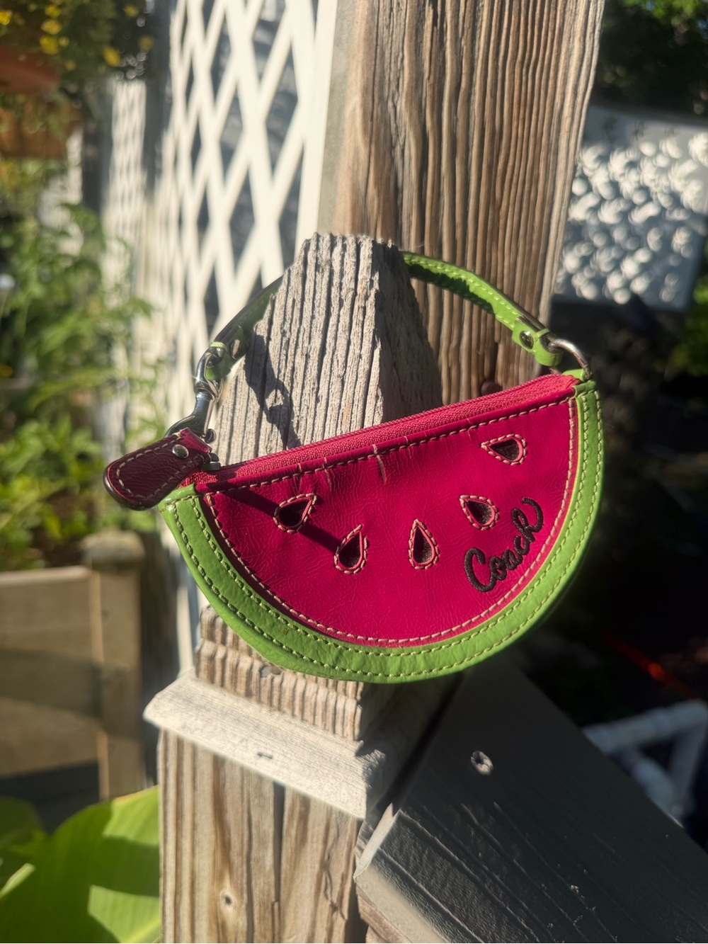 Coach Watermelon Slice Wristlet in Pink and Green